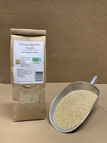 Quinoa blanc bio 10